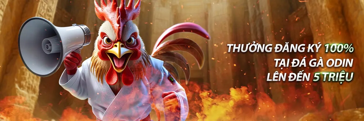 Đá gà trực tuyến kịch tính tại game bet